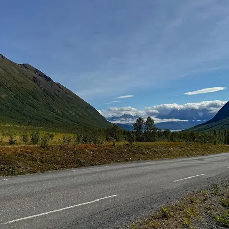 Pet Friendly In Appartamento Oldervik