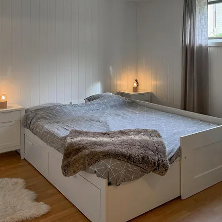 Pet Friendly In Oldervik